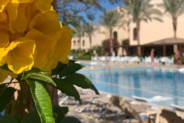 Jaz Aquamarine Resort atostogų vieta Hurgadoje Egipte